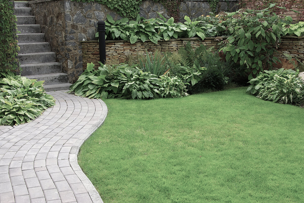 Welcome to Vitality Landscaping